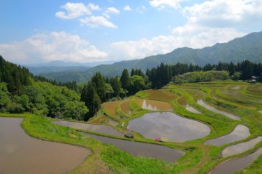 うへ山の棚田（兵庫県香美町）に行ってきました。