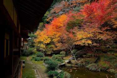 慧日寺（丹波市）の紅葉　～凛とした雰囲気の漂う禅宗寺院～