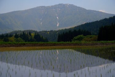 別宮の棚田（兵庫県養父市）で逆さ氷ノ山を見てきました。