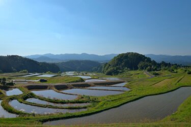 山王寺の棚田　～中国山地の山腹にある日本の棚田１００選～　