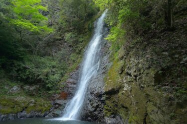 福山市の龍頭峡で龍頭の滝と四段の滝を見てきました。