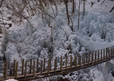尾ノ内氷柱　～凍結する渓谷～