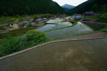 岩座神の棚田（いさりがみのたなだ）　～重厚な石積みを持つ神秘的な棚田～