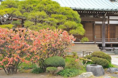 九品寺（鎌倉）【南北朝時代の勇将　新田義貞に所縁がある古刹】