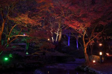 東山公園（たつの市）の紅葉　～ライトアップも行われる播磨の紅葉スポット～
