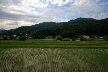 大原新田の棚田　～奥出雲に残る整然とした棚田風景～