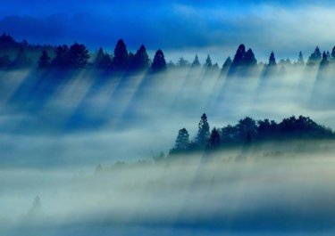 米見山（広島県）の雲海　～紙ヒコーキタワーのある公園から見る霧の海～