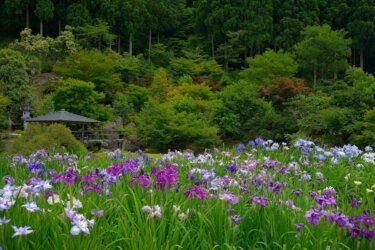 石照庭園　(雲南市)　～庭園師の巨匠が奥出雲で手掛けた名庭園～