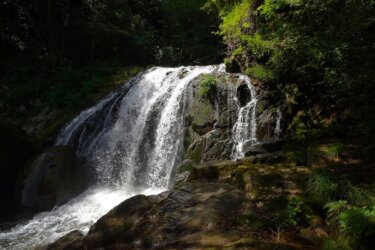 鳴滝森林公園　～滝と巨岩が織りなす渓谷を気軽に散策～
