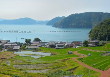 日引の棚田　～内浦湾を望む風光明媚な「棚田百選」～