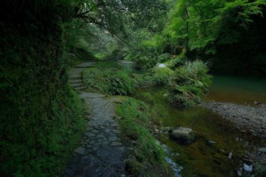 （山中温泉）　鶴仙渓　～古今の文人墨客を魅了した渓谷～