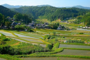 長谷の棚田（ながたにのたなだ）～伝統的な石積み施設を持つ広大な棚田～