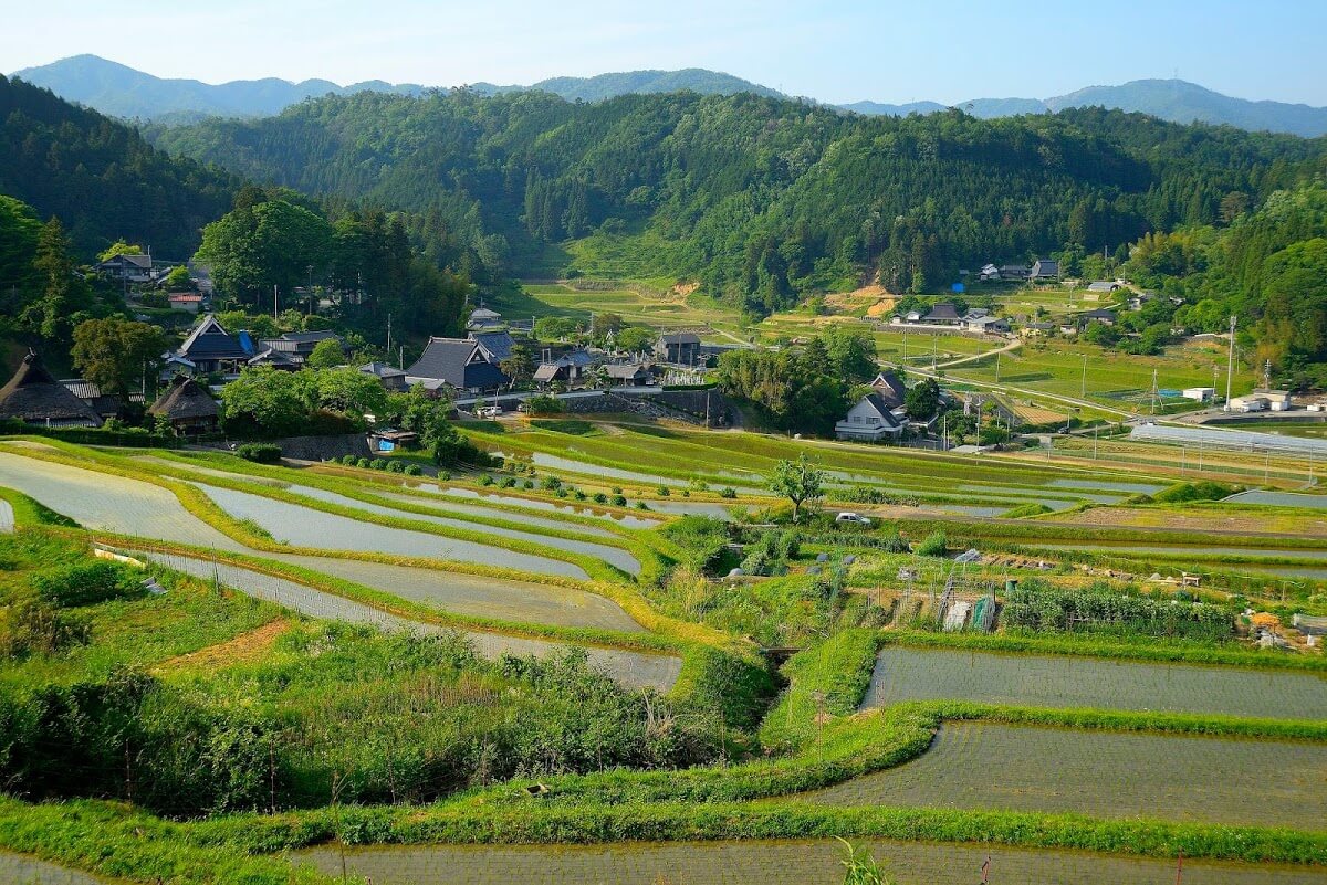 長谷の棚田 ながたにのたなだ 伝統的な石積み施設を持つ広大な棚田 散策同好会 旅の軌跡と備忘録 長谷の棚田 ながたにのたなだ 伝統的な石積み施設を持つ広大な棚田 散策同好会 旅の軌跡と備忘録