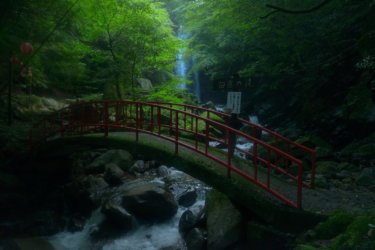 白藤滝　～伊賀市を流れる白藤にたとえられる名瀑～