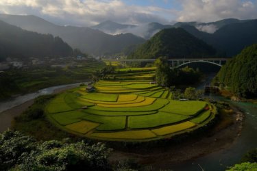 あらぎ島　～扇状の河岸段丘に広がる美しい棚田風景～