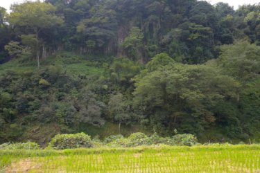 猿屋の滝　～駐車場所からすぐに見られる長さ３００ｍの柱状節理～