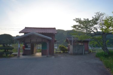 矢神駅　～岡山県下でも珍しい御衣黄桜の咲く駅～