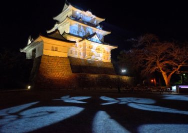 小田原城で冬桜イルミネーションを見てきました。（２０１８年）