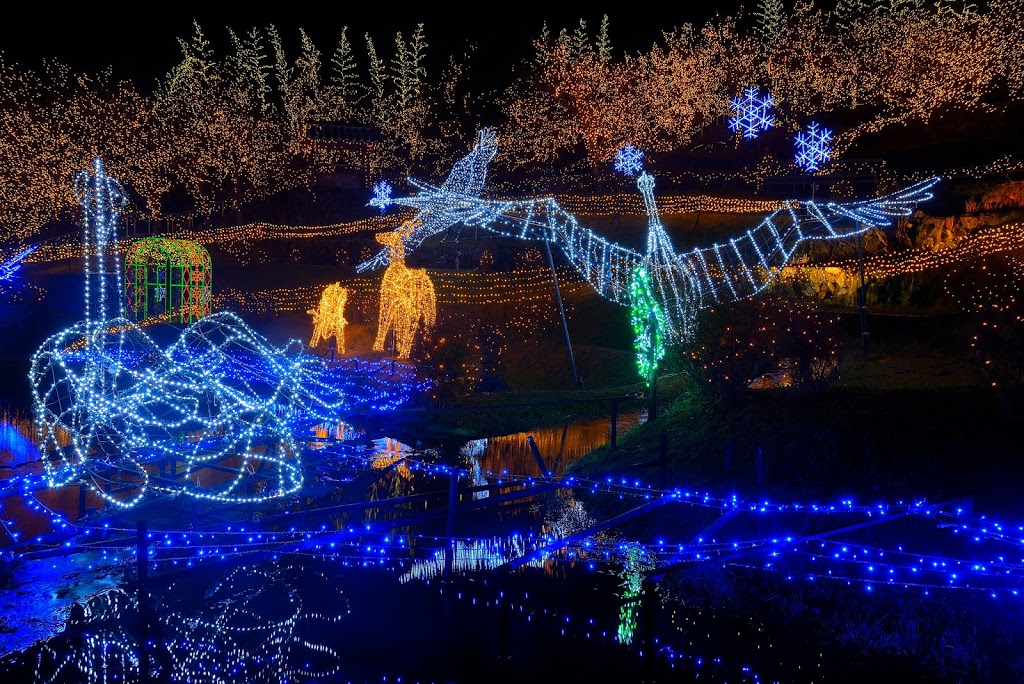 備北イルミ 国営備北丘陵公園で行われる広島県内最大級のイルミネーションイベント 散策同好会 旅の軌跡と備忘録