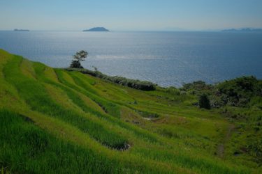 新井の棚田　～眼下に日本海が開けた絶景～