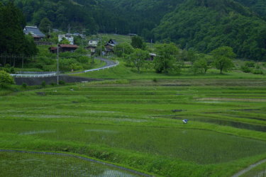 毛原の棚田　～大江山の麓に広がる棚田百選～