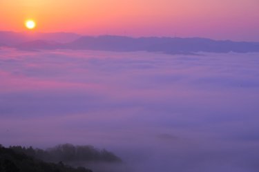 (佐用町)大撫山の雲海 　～朝日が彩る幻想的な雲海～