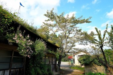 月崎駅　森ラジオステーション　～小湊鉄道にあるアートステーション～