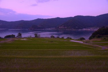 田烏の棚田　～百人一首に詠まれた「沖の石」を望む景勝地に広がる棚田～