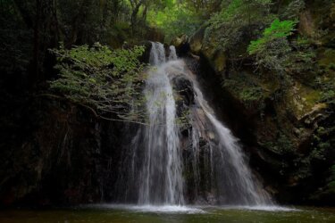 馬場の滝（鳥取県）～特徴的な岩肌を持つ魅力的な段瀑～