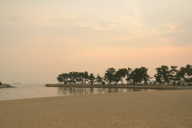 高砂海浜公園　～工業地域に隣接する白砂青松百選～