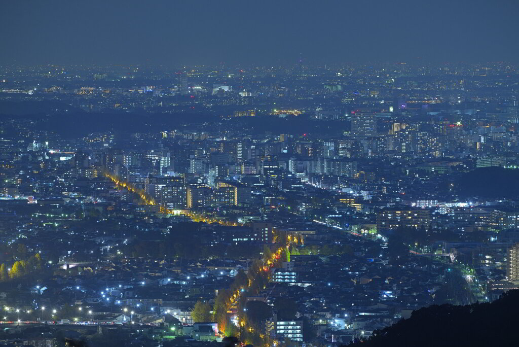 金比羅台園地の夜景