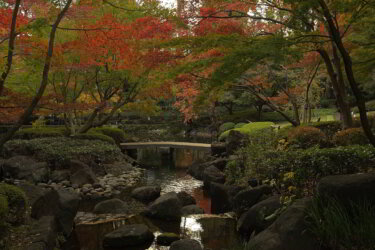 大田黒公園　～秋にはライトアップも行われる和洋折衷の名園～