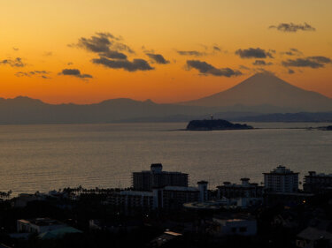 披露山公園から見る夜景 ～富士山と湘南を望む閑静な公園～