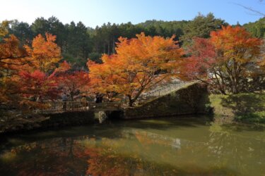 円通寺の紅葉（兵庫県丹波市）　～名刹の放生池に映りこむ見事な紅葉～　