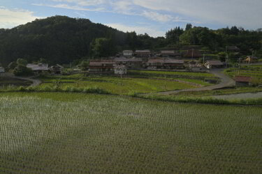 上田・平佐の棚田に行ってきました。