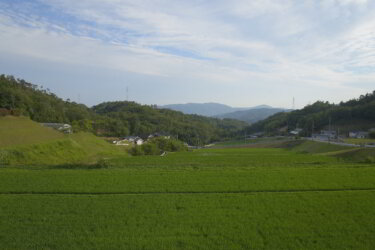 千堂の棚田（尾道市）に行ってきました。