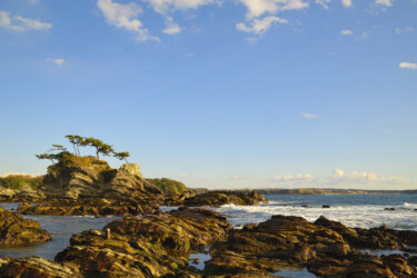 荒崎公園（神奈川県横須賀市）　【奇勝、荒崎海岸を有する絶景地】