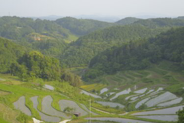 上籾の棚田(岡山県久米南町)に行ってきました。