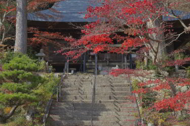 大国寺（兵庫県丹波篠山市）に参拝して紅葉を観賞してきました。
