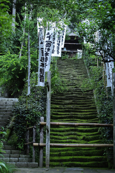 杉本寺(神奈川県鎌倉市)に参拝してきました。