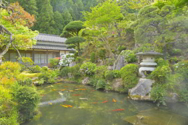 観音寺（兵庫県朝来市）に参拝して庭園を観賞して来ました。