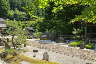 長安寺（京都府福知山）に参拝して庭園と新緑のモミジを観賞して来ました。