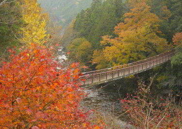 秋川渓谷(東京都あきる野)の石舟橋周辺で紅葉を見てきました。