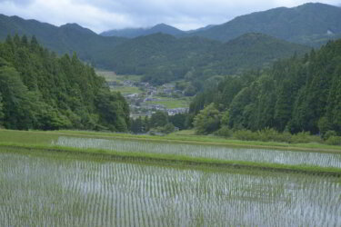 つなぐ棚田遺産に選ばれている飯見の棚田（兵庫県宍粟市）を見てきました。