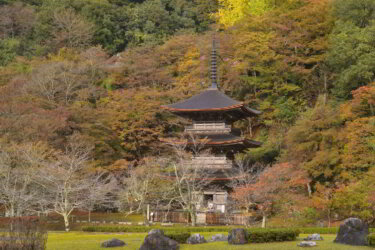 金剛院（京都府舞鶴市）に参拝して紅葉と三重塔を観賞して来ました。