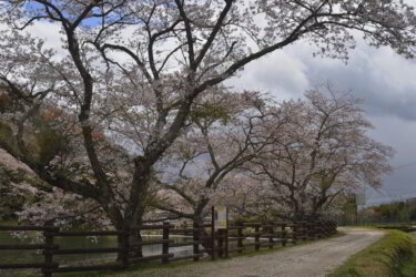 兵庫県神河町にある銀の馬車道（生野鉱山寮馬車道跡）に訪れた感想と現地レポート